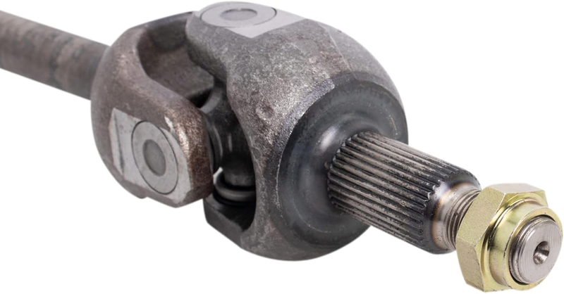 Picture 3
