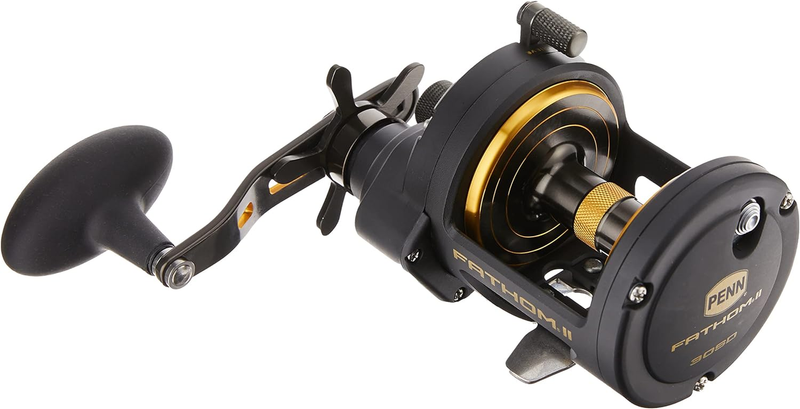 Fathom II Star Drag Conventional Fishing Reel, Black Gold, 2