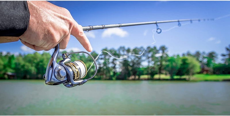 President Spinning Reel and Fishing Rod Combo