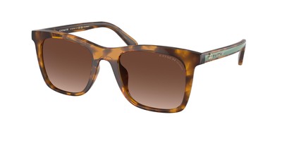 NEW Coach 8374U Age Group Sunglasses 5120T5 Tortoise 100% AUTHENTIC