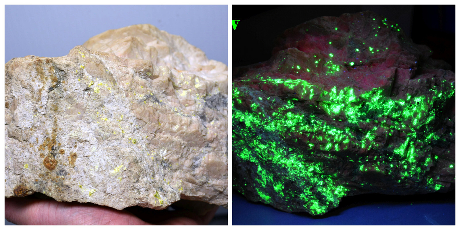 HUGE AUTUNITE Crystal Specimen w/ GARNET Matrix FLUORESCENT MINERAL NC