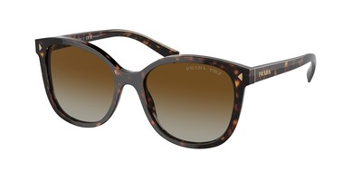 Pre-owned Prada Pr 22zsf 2au6e1 Tortoise Brown Gradient Polarized 55 Mm Women's Sunglasses In Polar Brown Gradient