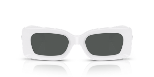 Pre-owned Versace Sunglasses Ve4474u 314/87 White Grey Men Women In Gray