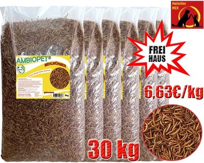 Mehlwürmer getrocknet für Fische Nager Vögel Reptilien auch Koifutter Igelfutter