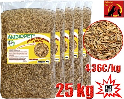 Hermetia Larven Soldatenfliegenlarven Auswahl wie Mehlwürmer Koi Vögel Reptilien