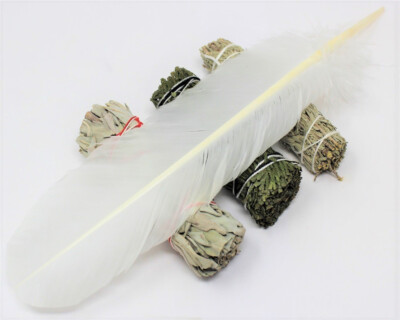 Smudge 3 Stick SAMPLER:  White Sage, Blue Sage, & Cedar & White Smudging Feather