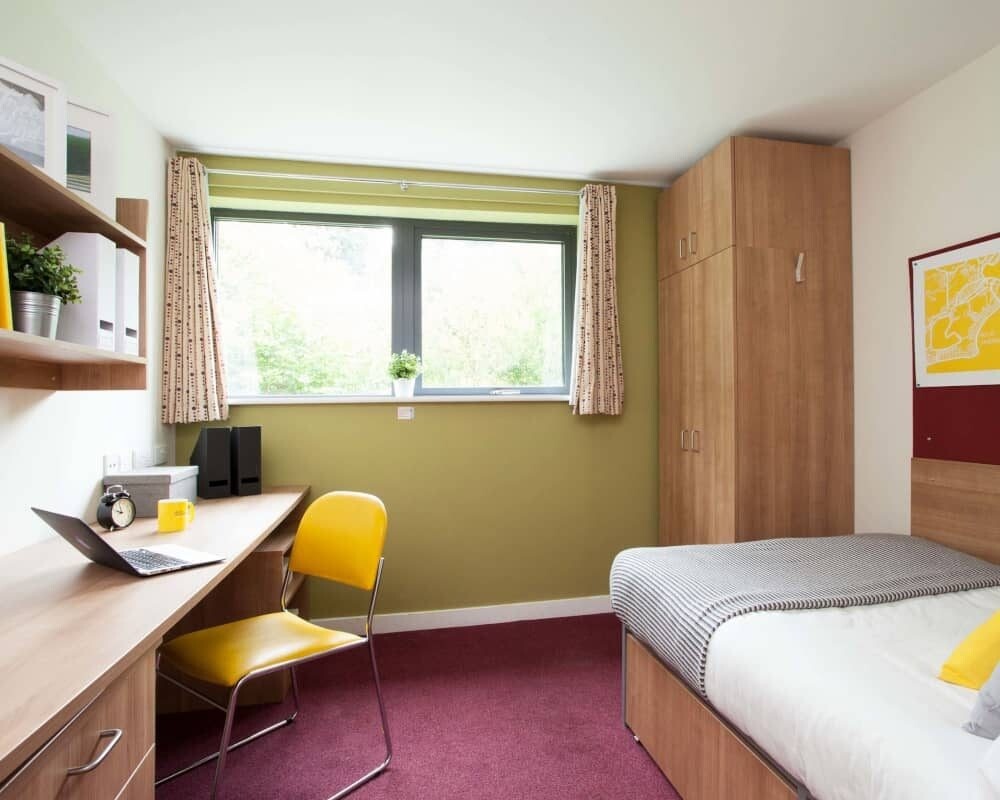 Exeter ensuite student summer to rent, MaySep 2021 in