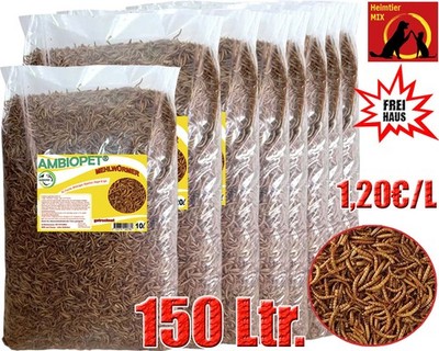 Ambiopet Mehlwürmer getrocknet in Ltr. für Fische Nager Vögel Reptilien Igel Koi