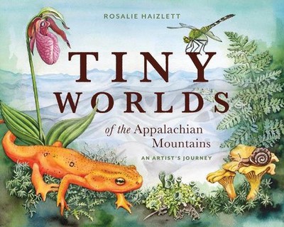 Tiny Worlds of the Appalachian Mountains: An Artist's Journey by Rosalie Haizlet