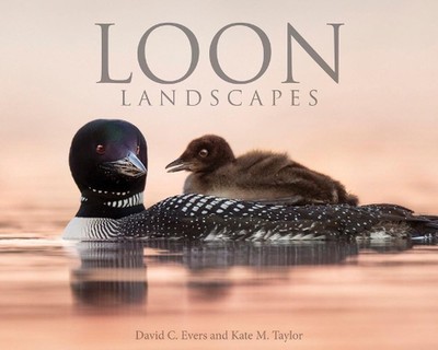 Loon Landscapes by David C. Evers (English) Hardcover Book