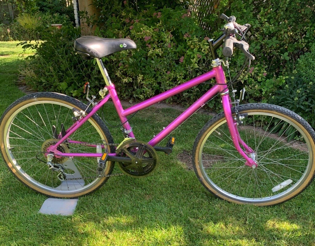 raleigh montana ladies bike