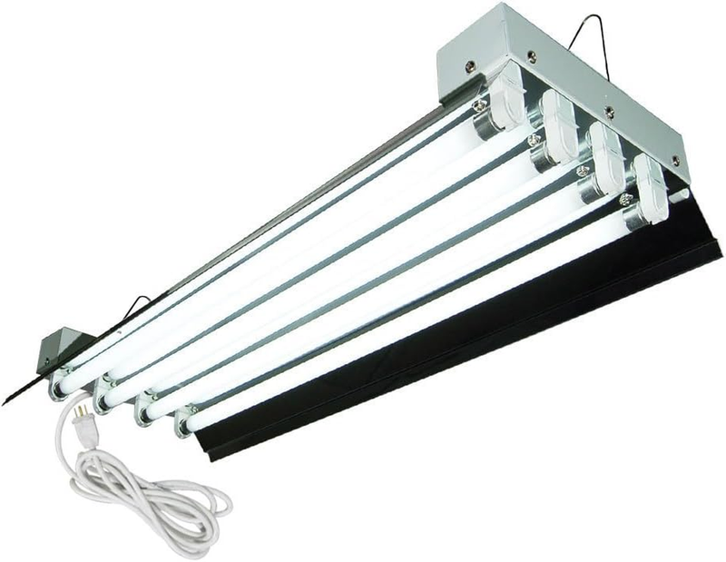 Fixture, Bulbs Included