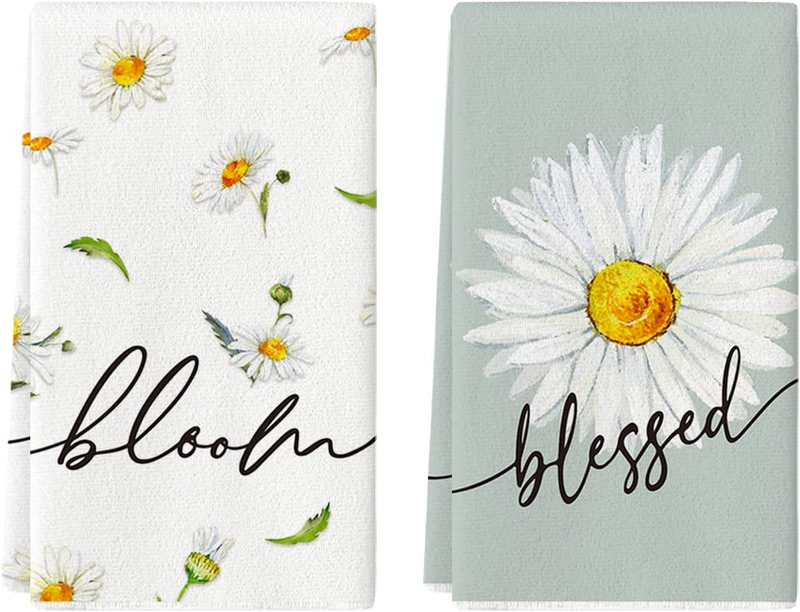 S Dish Towels, 18x26 Inch Seasona