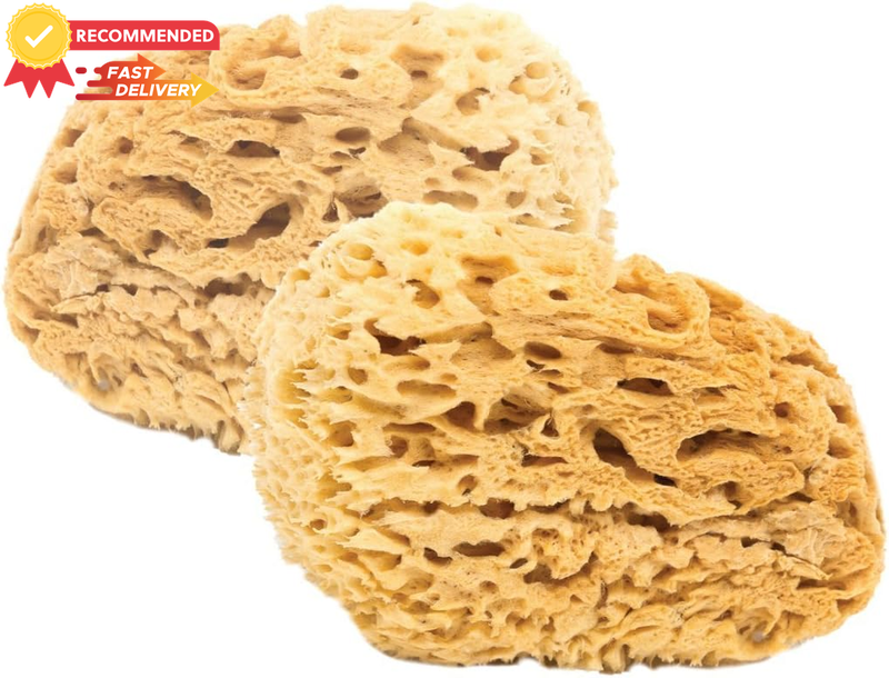 Babycare Natural Sea Sponge 2 Pack Honeycomb Sponges 9-10cm Premium Quality