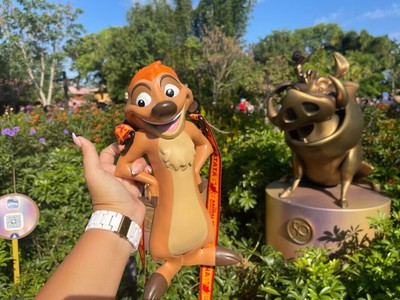 Disney Parks The Lion King Timon Animal Kingdom 25th Anniversary Sipper - NEW