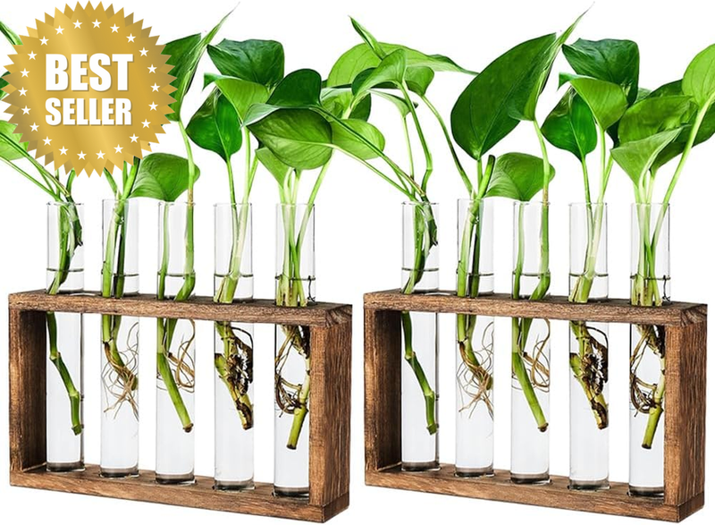 2 Pack Hydroponic Planter with Wooden Stand, Wall-Mounted Glass Planter