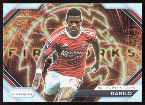 23-24 PANINI REECE JAMES リース・ジェイムズ 直筆サイン 2023