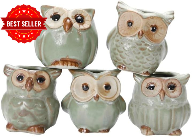 5 Pcs Mini Ceramic Owl Flower Pots, Small Green Indoor Planters