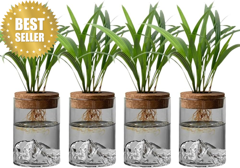 4-Pack Hydroponic Plant Pots, Glass Plant Propagation Stations, Water Plant Jars
