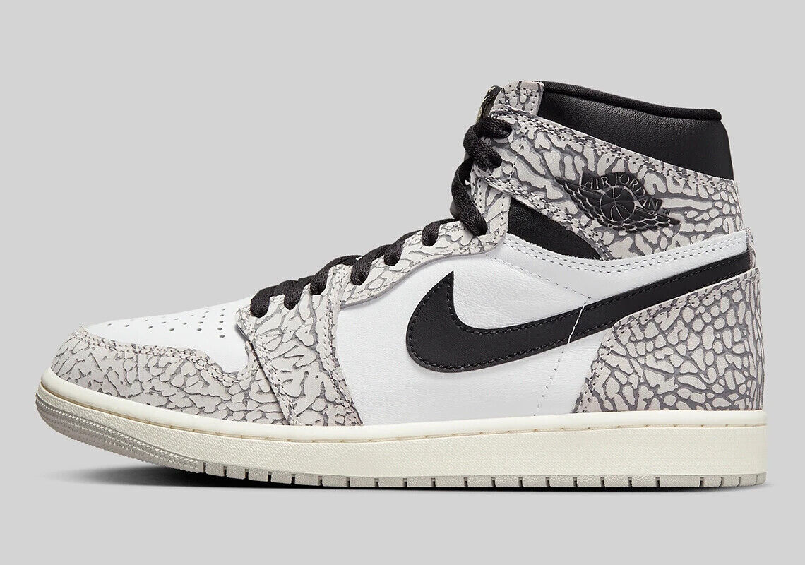 Мужские кроссовки Nike Air Jordan 1 Retro High OG White Cement DZ5485-052