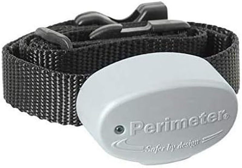 R21 Replacement Collar - 1 Dog And Free Shipping