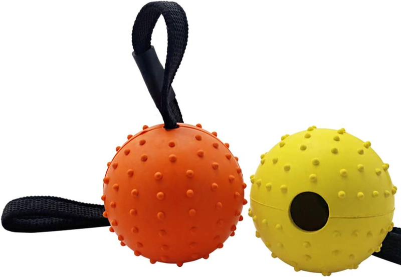 Vivifying Dog Ball on a Rope, 2 Pack Natural Interactive Rub