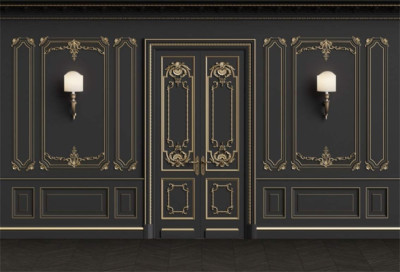 10X8Ft Vintage Room inside Backdrop European Frame French Door Modern Castle Hou