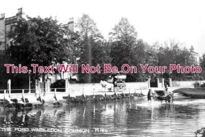 SU 1548 - The Pond, Wimbledon Common, Surrey c1905