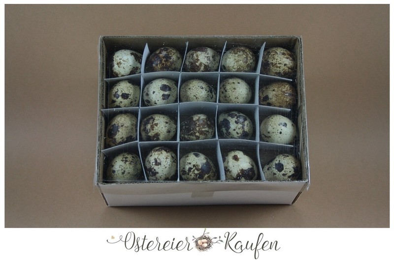 60 Wachteleier Leere Ausgeblasene Natur Deko Eier Ostereier