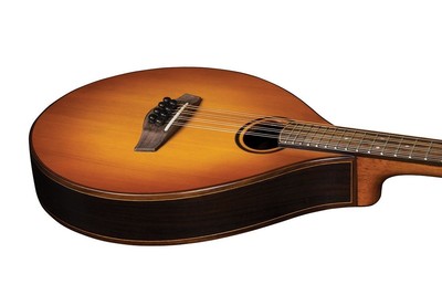 Washburn TCMC43SWK-LTD Timeless Celtic C43 solid reclaimed European Fir