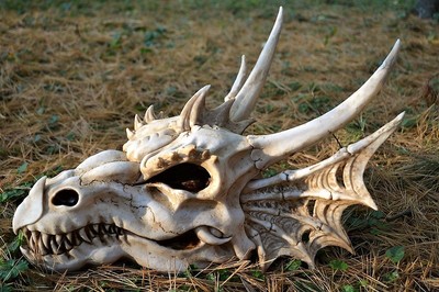 Dragon Skull Fossil Statue Figurine - Erathia - Elder Scrolls - Mythical Fantasy