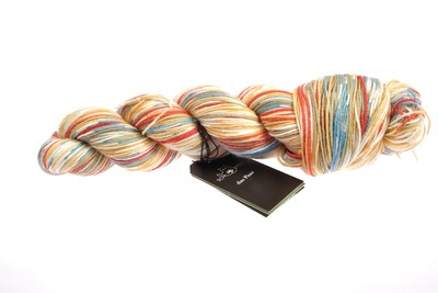 135 / KG) The Pair 100g Schoppel Sock Yarn Colour 2505 Giesskannenprinzip