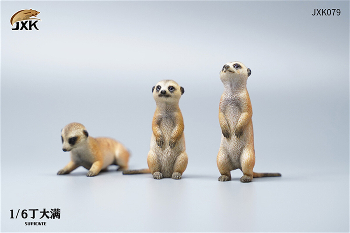 JXK 1:6 Scale Lion's Buddy Model Warthog Suricate Pig Animal