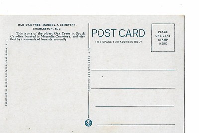 OLD OAK TREE, MAGNOLIA CEMETERY, CHARLESTON, SOUTH  CAROLINA, 1930'S POST CARD