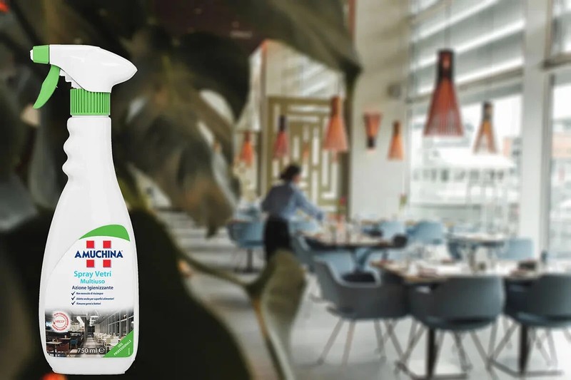 Amuchina Spray Verre Et Multiso Ml.750 - Carton 6 PiÃ¨Ces