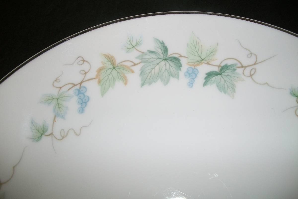 FINE CHINA SET Dishes 59 Piece Fashion Manor VINEYARD / PICKUP CINCY