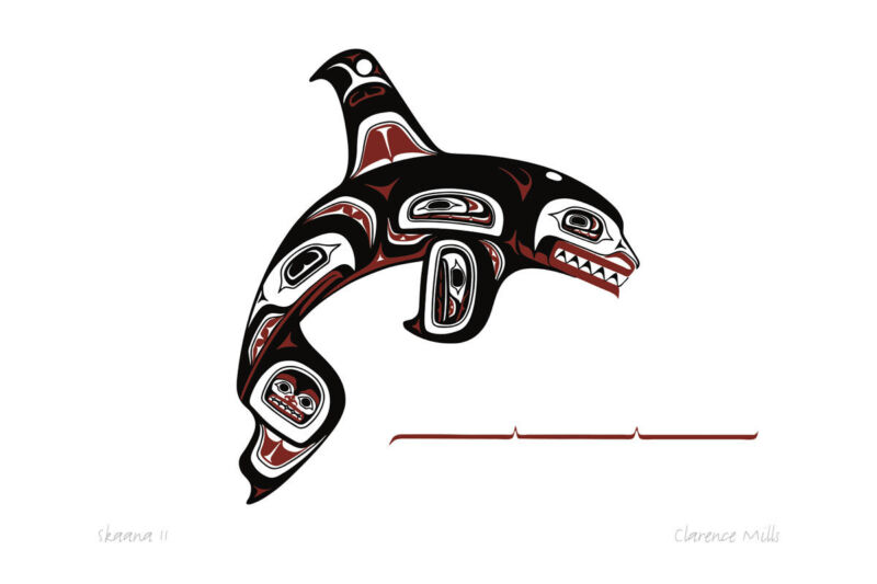 Skaana 2 Haida Killer Whale Clarence Mills Art Card Northwest Coast Native