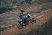 Benelli Leoncino 800 Trail Retro Bike Motorcycle Naked NEW 2024 74 Plate Pre...