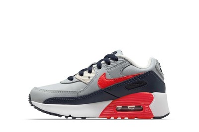 Кроссовки для маленьких детей Nike Air Max 90 LTR Lt Дымчато-серые/ярко-малиновые (CD6867 021) -