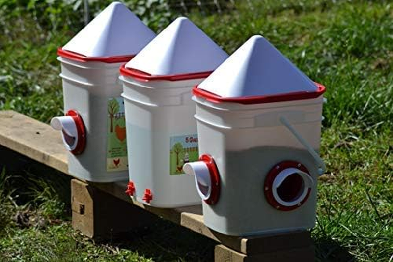 20Lb Bpa-Free Chicken Feeder with Large Ports - Includes Lid, Anti-Roost Cone, P
