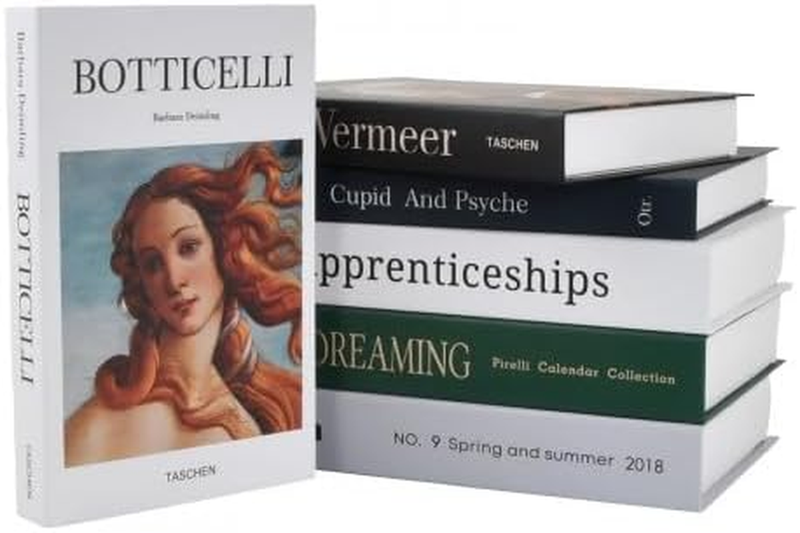 Book Set of 6 PCS Stacked Faux Books, Modern Decorative Foldable Hardcover, for