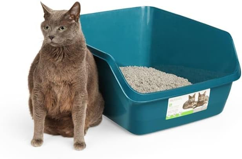 Teal Scatter Shield High-Back Litter Box for Cat, X-Large