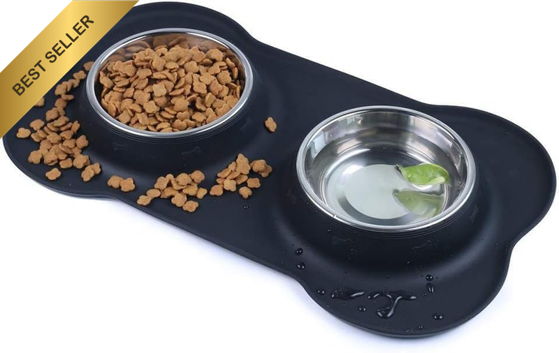 Dog Bowls Double Stainless Steel Pet Bowls for Food and Water with a No-Spill Si