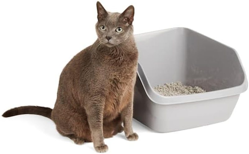Scatter Shield High-Back Litter Box in Gray, 18.5" L X 15" W X 8.5" H