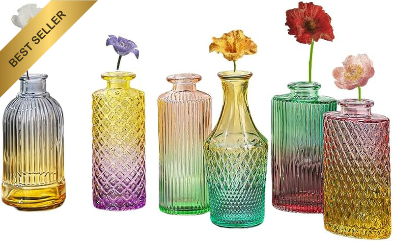 6 Pcs Glass Bud Vase Set Vintage Style Flower Vases Home Decor