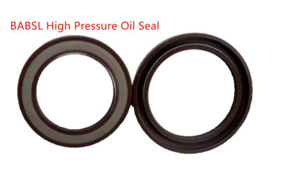 New 2pcs 25*45*7mm CFW type fluorine rubber skeleton oil seal
