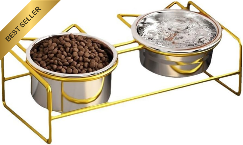 Cat Bowl, Double-Layer Stainless Steel Pet Bowl with 10° Tilt Stand for Food and