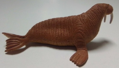 邦楽 20012002 walrus $_12.JPG?set_id=880000500F