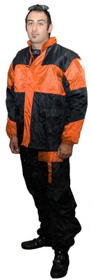 Picture 2