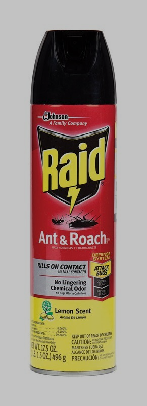 Raid Ant & Roach Killer Bug Insect Spray Lemon Scent 17.5 oz